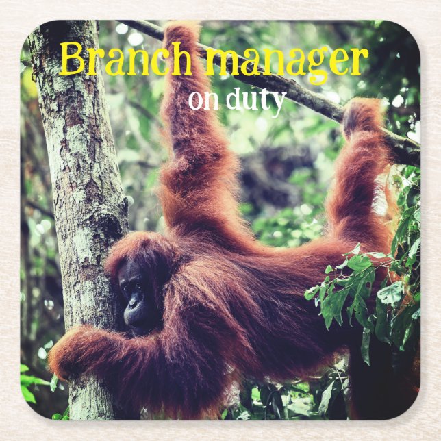 Posavasos Cuadrado De Papel Orangután colgando de un árbol (Anverso)