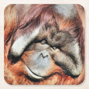 POSAVASOS CUADRADO DE PAPEL ORANGUTANOS