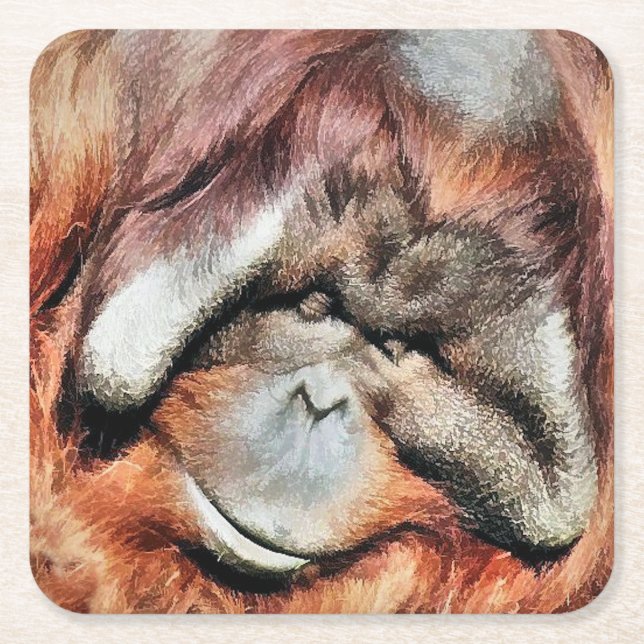 POSAVASOS CUADRADO DE PAPEL ORANGUTANOS (Anverso)
