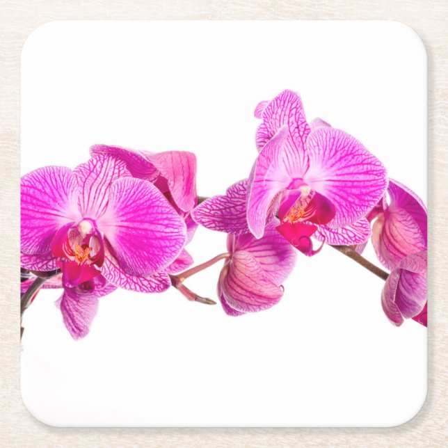 Posavasos Cuadrado De Papel Orquídea (Anverso)
