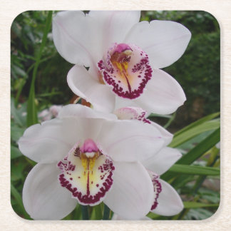 Posavasos Cuadrado De Papel Orquídeas Blancas Hermosas Flores Tropicales