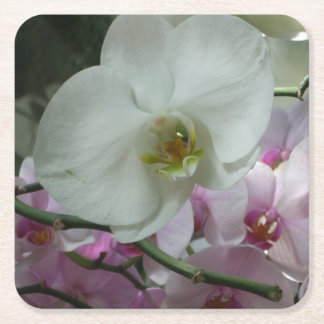 Posavasos Cuadrado De Papel Orquídeas blancas y moradas
