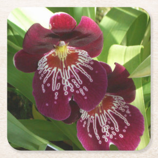 Posavasos Cuadrado De Papel Orquídeas de Marrón II Elegante Floral