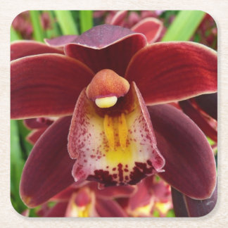 Posavasos Cuadrado De Papel Orquídeas Maroon I Hermosa Floral Roja
