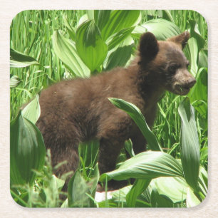 Posavasos Cuadrado De Papel Oso Cub Yosemite