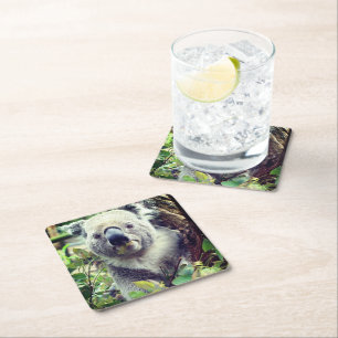Posavasos Cuadrado De Papel Oso Koala