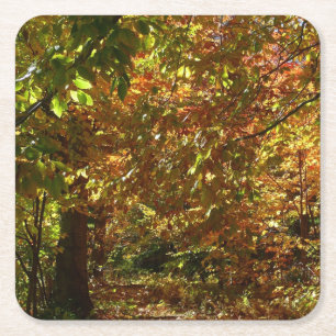 Posavasos Cuadrado De Papel Otoño de otoño II Fotografía de otoño amarilla
