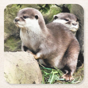 POSAVASOS CUADRADO DE PAPEL OTTERS