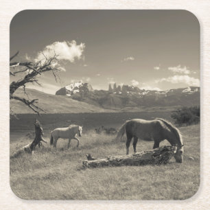 Posavasos Cuadrado De Papel Paisaje con caballos