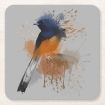 Pájaro de Shama blanco rumado