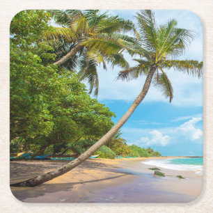 Posavasos Cuadrado De Papel Palma de coco, playa el Sri Lanka de Mirissa