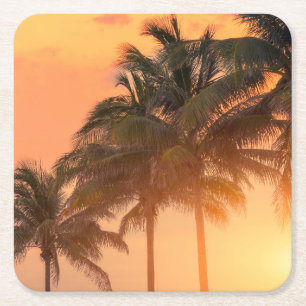 Posavasos Cuadrado De Papel Palmas de Miami