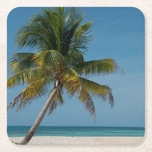 Posavasos Cuadrado De Papel Palmera y playa de arena blanca 2