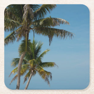 Posavasos Cuadrado De Papel Palmeras y playa de arena blanca
