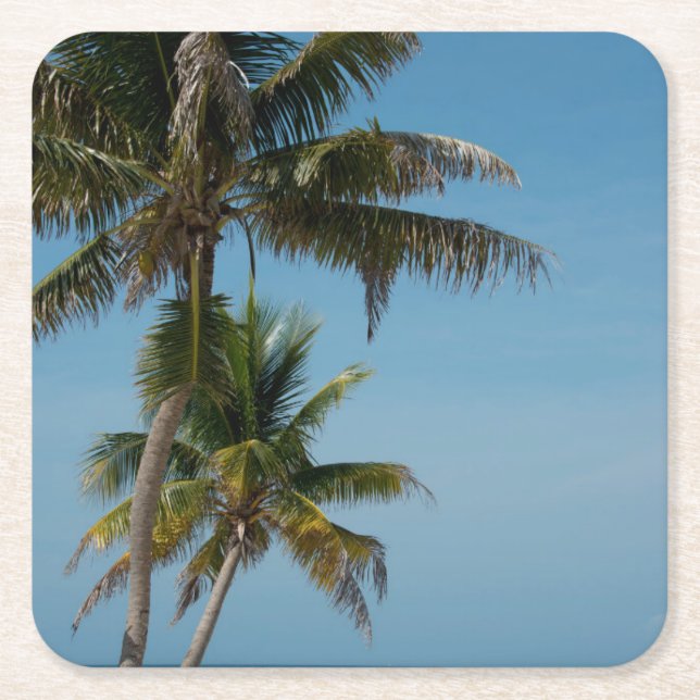 Posavasos Cuadrado De Papel Palmeras y playa de arena blanca (Anverso)
