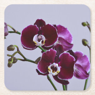 Posavasos Cuadrado De Papel Papel Orquídea Púrpura