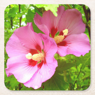 Posavasos Cuadrado De Papel Papel rosado Hibiscus