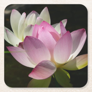 Posavasos Cuadrado De Papel Pareja de flores de Lotus II