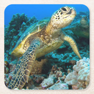 Posavasos Cuadrado De Papel Pares de la tortuga