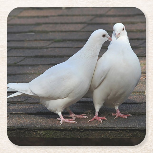 Posavasos Cuadrado De Papel Pares de palomas blancas (Anverso)