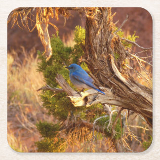 Posavasos Cuadrado De Papel Parque nacional de Arches