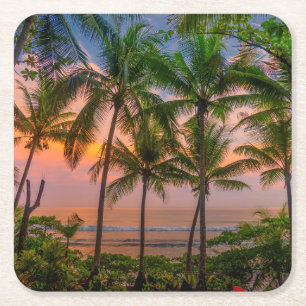 Posavasos Cuadrado De Papel Parque nacional tropical de la playa el