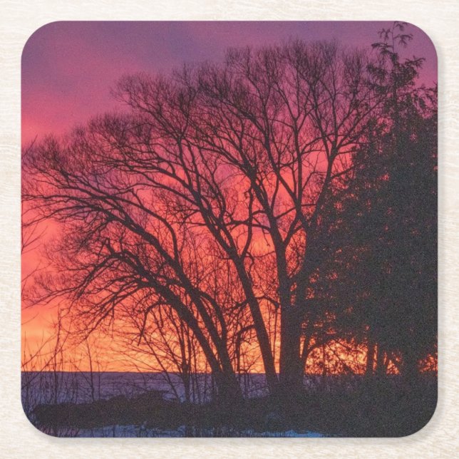 Posavasos Cuadrado De Papel Pascua de árbol y atardecer (Anverso)