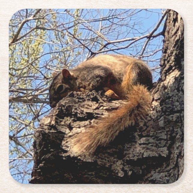 Posavasos Cuadrado De Papel Pascua de bebida de ardilla (Anverso)
