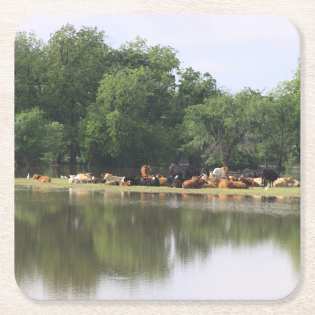 Posavasos Cuadrado De Papel Pascua de bebida de vaca (Anverso)