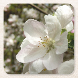 Posavasos Cuadrado De Papel Pascua de flores de Apple