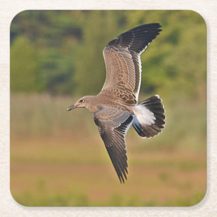 Posavasos Cuadrado De Papel Pascua Fiesta de las gaviotas marinas