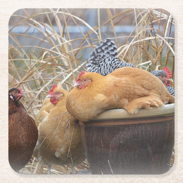 Posavasos Cuadrado De Papel Pascua Fiesta de pollo (Anverso)