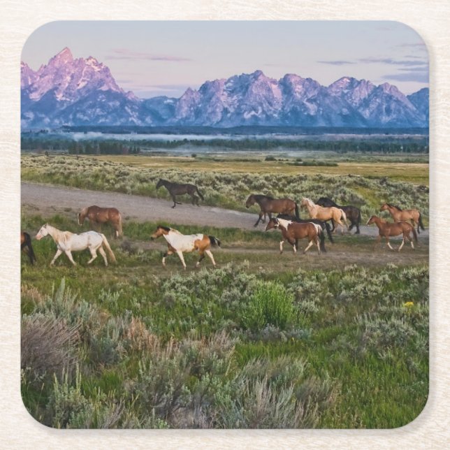 Posavasos Cuadrado De Papel Paseo de los caballos (Anverso)