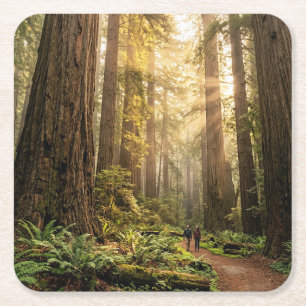 Posavasos Cuadrado De Papel Paseo por el bosque