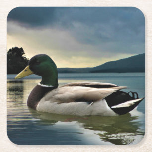 Posavasos Cuadrado De Papel Pato Mallard En El Lago