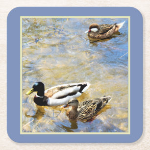 Posavasos Cuadrado De Papel Patos