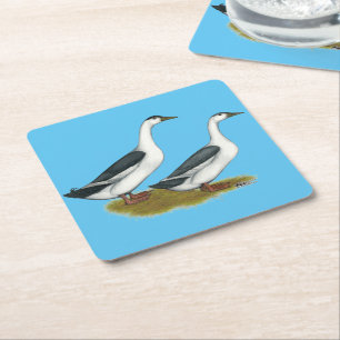 Posavasos Cuadrado De Papel Patos: Magpies azules