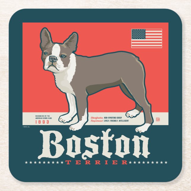 Posavasos Cuadrado De Papel Patriótico | Boston Terrier (Anverso)