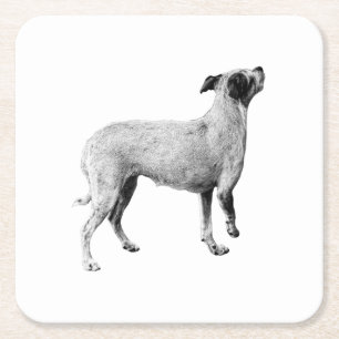 Posavasos Cuadrado De Papel Pausa lateral: Mirando hacia arriba