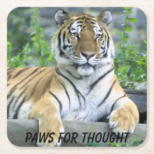 Posavasos Cuadrado De Papel Paws for Thought Tiger