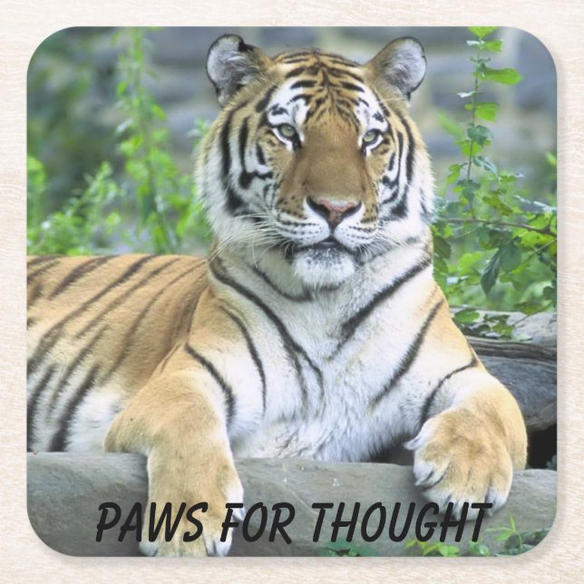 Posavasos Cuadrado De Papel Paws for Thought Tiger (Anverso)