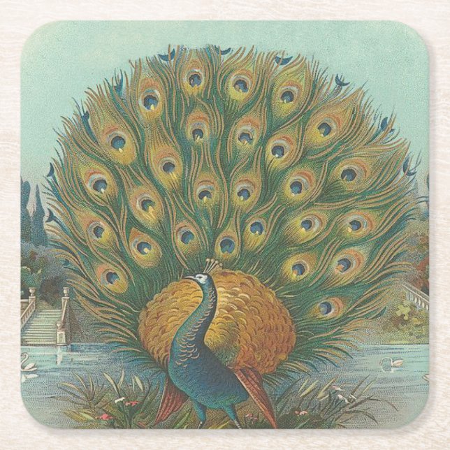 Posavasos Cuadrado De Papel Peacock (Anverso)