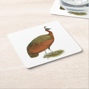 Posavasos Cuadrado De Papel Peafowl: Congo Peahen