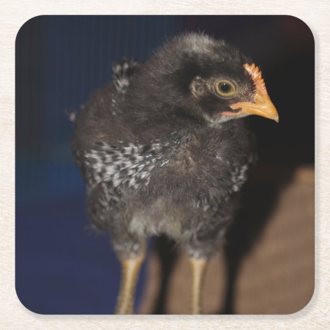 Posavasos Cuadrado De Papel Peep (Anverso)