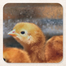 Posavasos Cuadrado De Papel Peep peep