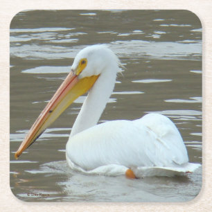 Posavasos Cuadrado De Papel Pelican blanco B15