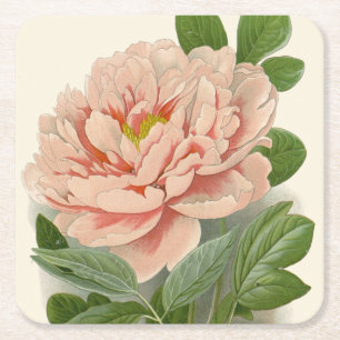 Posavasos Cuadrado De Papel Peonía del árbol - Elegante diseño botánico vintag
