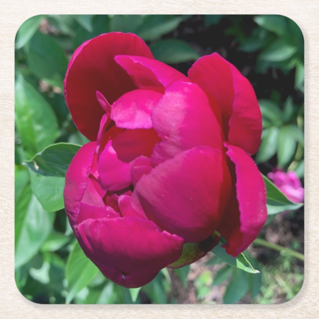 Posavasos Cuadrado De Papel Peony Paper Bebe Monstruo (Anverso)