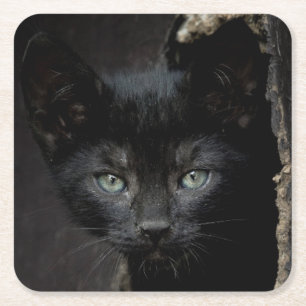 Posavasos Cuadrado De Papel Pequeño gatito negro