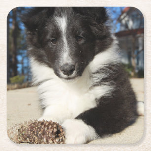 Posavasos Cuadrado De Papel perrito blanco y negro de shap